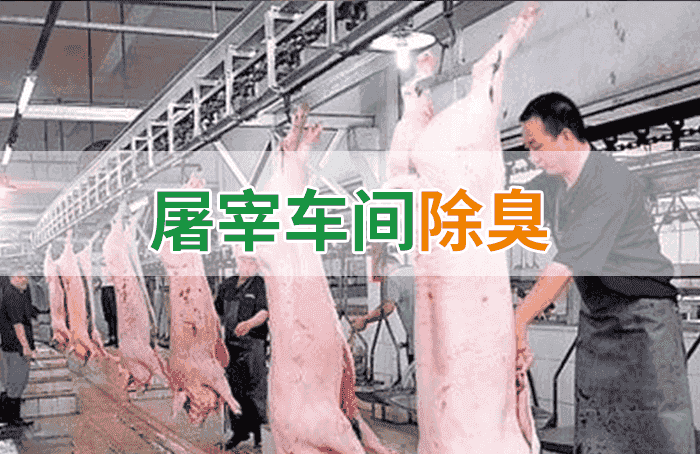 屠宰場(chǎng)臭氣影響周邊環(huán)境？解決辦法在這里-1