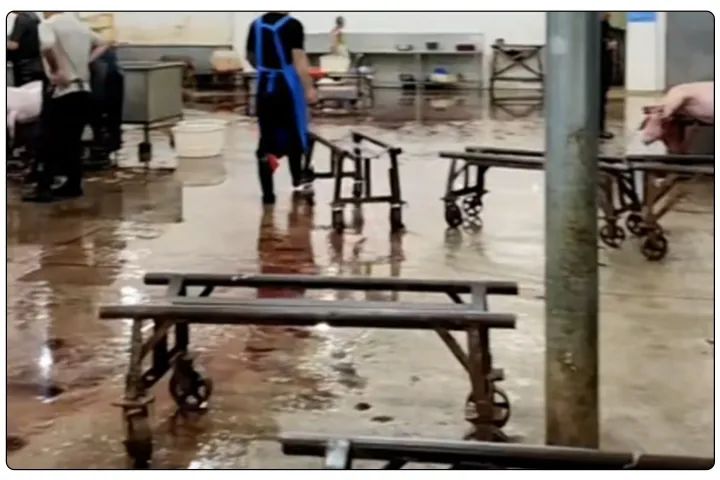 屠宰工廠惡臭影響周邊，使用除臭劑有什么注意要點？.jpg