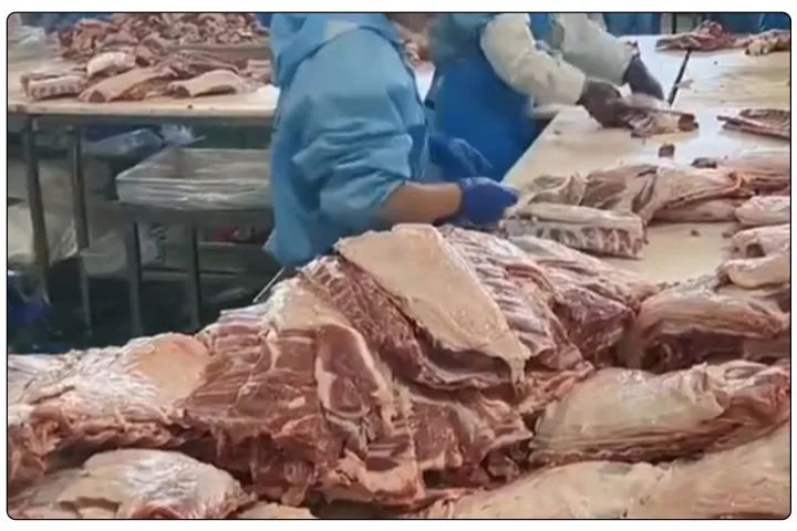 屠宰工廠惡臭影響周邊，使用除臭劑有什么注意要點？.jpg