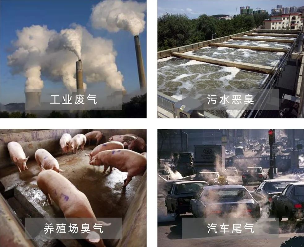Dejing的凈工業(yè)除臭劑——解決臭味困擾的源頭！.jpg