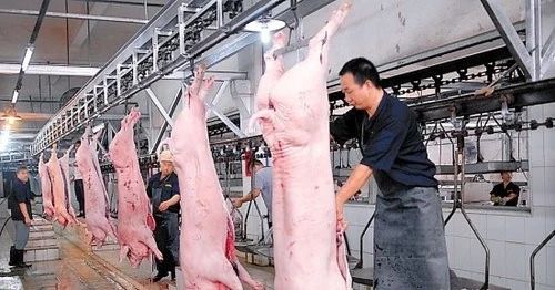 屠宰場(chǎng)臭氣影響周邊環(huán)境？解決辦法在這里.jpg